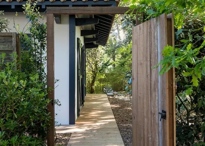 Horizon, Proche * La Teste-de-Buch